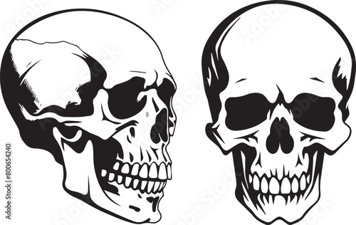 Skull Vector Set