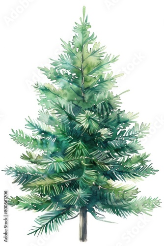 Festive holiday watercolor illustration. Perfect for Christmas cards