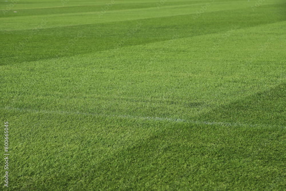 Natural grass of a soccer stadium or football stadium. Green stadium grass.  Close-up of court grass texture with natural lawn. Sports background with copy space.