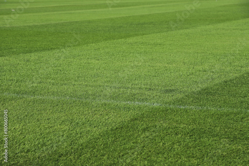 Natural grass of a soccer stadium or football stadium. Green stadium grass.  Close-up of court grass texture with natural lawn. Sports background with copy space. © Acento Creativo