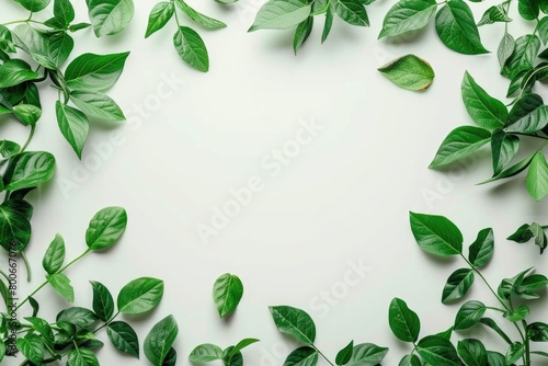 Green leaves forming a frame on a white background. Ideal for nature and environmental concepts