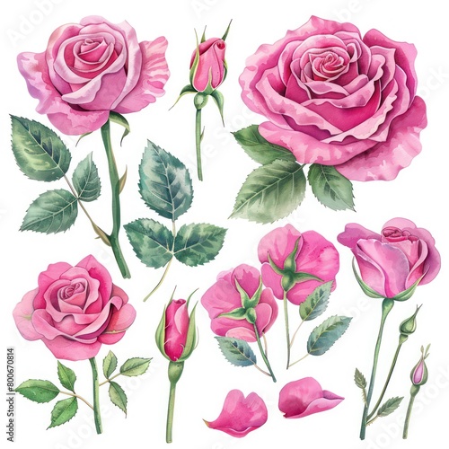 pink roses clipart elements like minimal watercolor © Dekastro