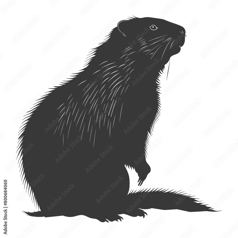 Fototapeta premium Silhouette marmot animal black color only full body