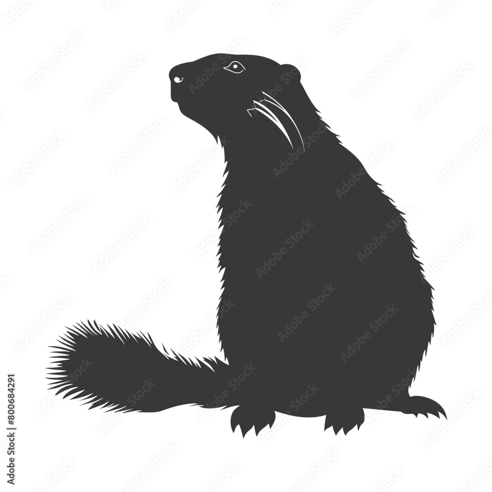 Silhouette marmot animal black color only full body Silhouette marmot animal black color only full body
