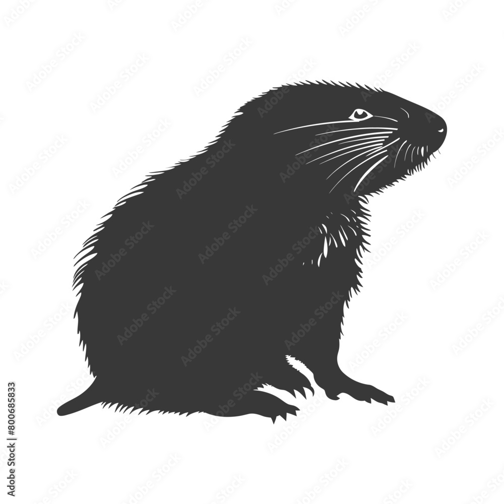 Fototapeta premium Silhouette mole animal black color only full body 