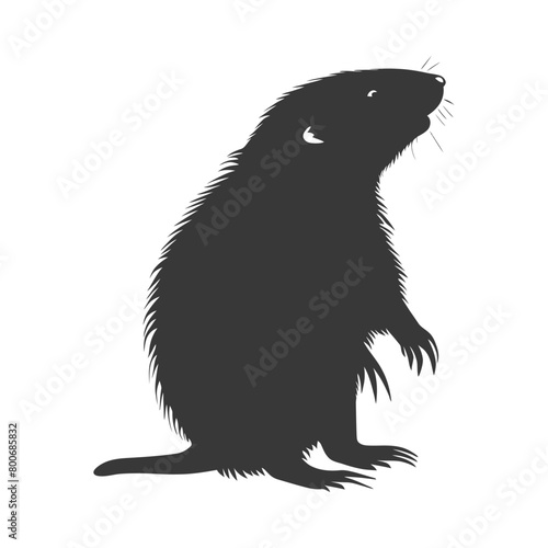 Silhouette mole animal black color only full body 