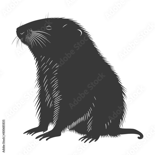 Silhouette mole animal black color only full body 