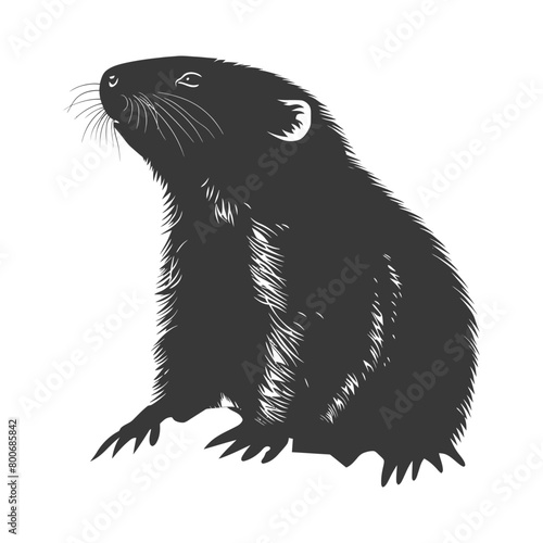 Silhouette mole animal black color only full body 