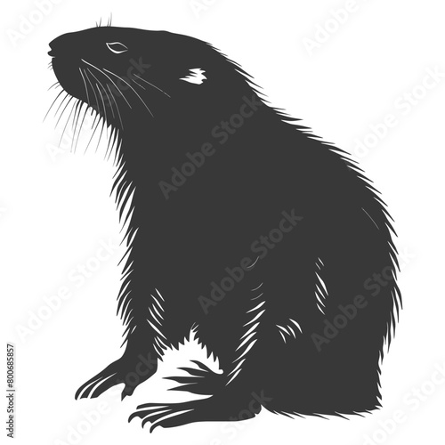 Silhouette mole animal black color only full body 