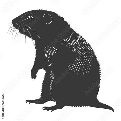 Silhouette mole animal black color only full body 