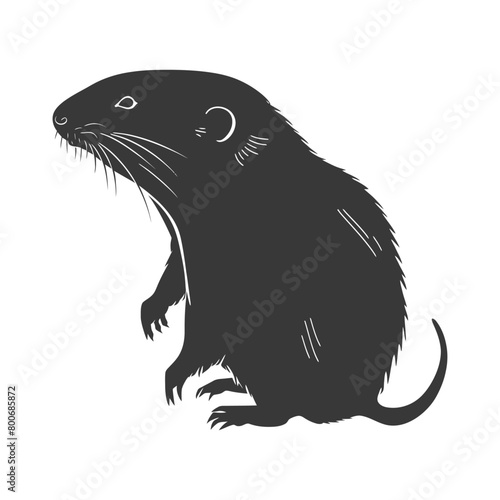 Silhouette mole animal black color only full body 