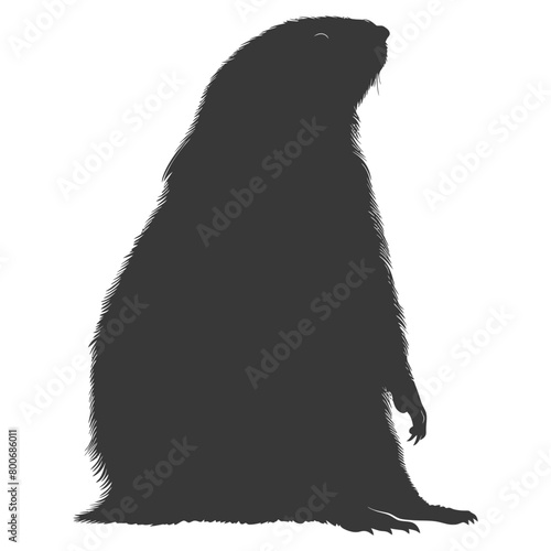 Silhouette mole animal black color only full body 