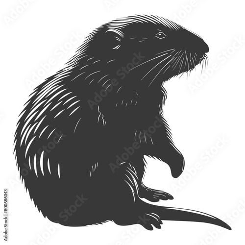Silhouette mole animal black color only full body 