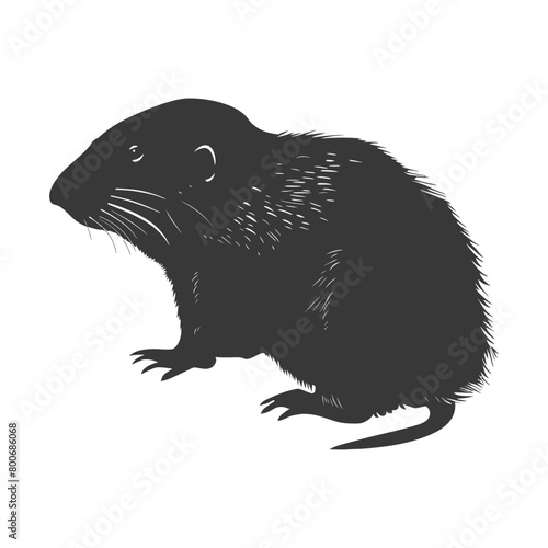 Silhouette mole animal black color only full body 