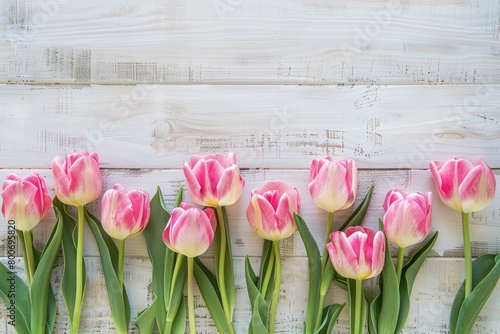Beautiful Pink Tulips on a ...