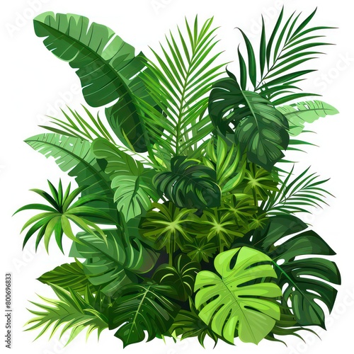 tropical foliage on a white background