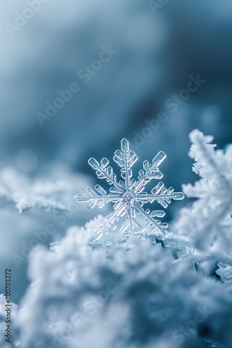 a close up view of snowflakes on a plant