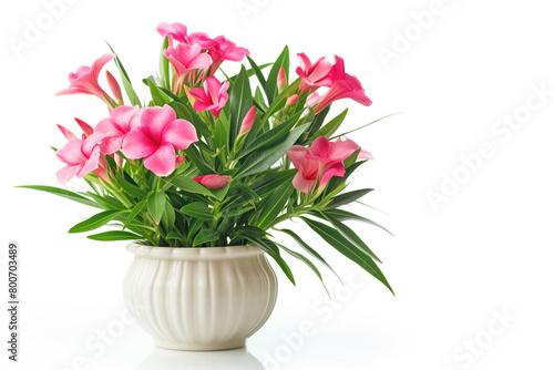 Wallpaper Mural Vibrant Nettle Leaf Frame Torontodigital.ca