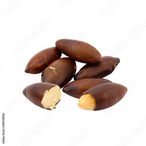 brazilian nut photo