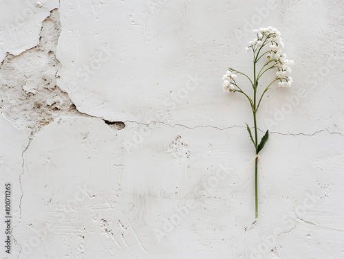 Un bouquet de brins de muguet sur un fond brut en béton, photographie minimaliste