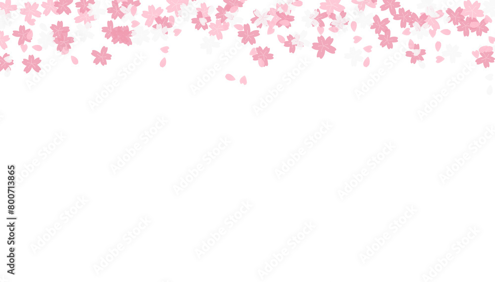 isolated illustration of a blooming cherry blossom frame with a transparency PNG background, card design, banner, Sakura concept, spring time frame, border, 