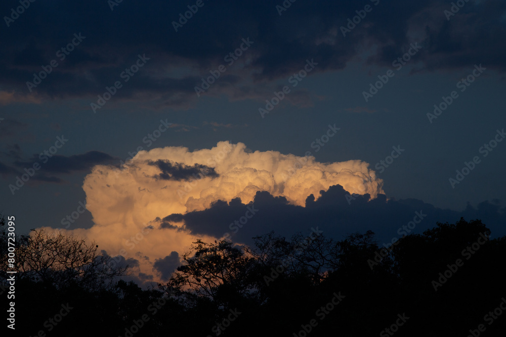 Landscape of trees with warm clouds, blue background in the afternoon in Queretaro, Mexico.