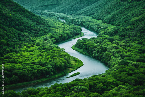 Tranquil river flowing through lush green forest