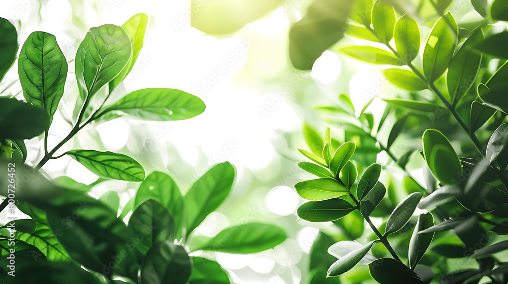 selective focus on lush green foliage against isolated background selective focus on lush green foliage against isolated background