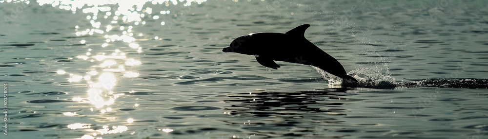 Obraz premium Playful Dolphin, A dolphin's silhouette leaping out of the water