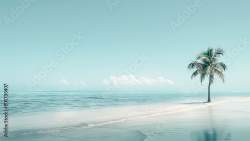Lone Palm Tree on a Pristine Beach Shore - A vibrant depiction of a solitary palm tree standing on a pure white sandy beach, gentle waves coming in from a clear sea