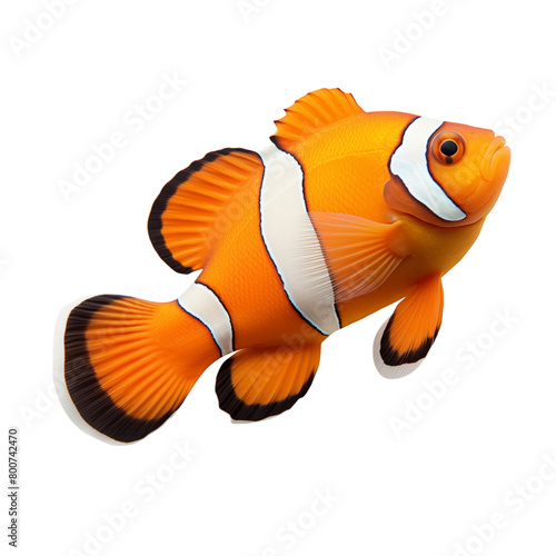 Obraz na płótnie Clown fish isolated on transparent background