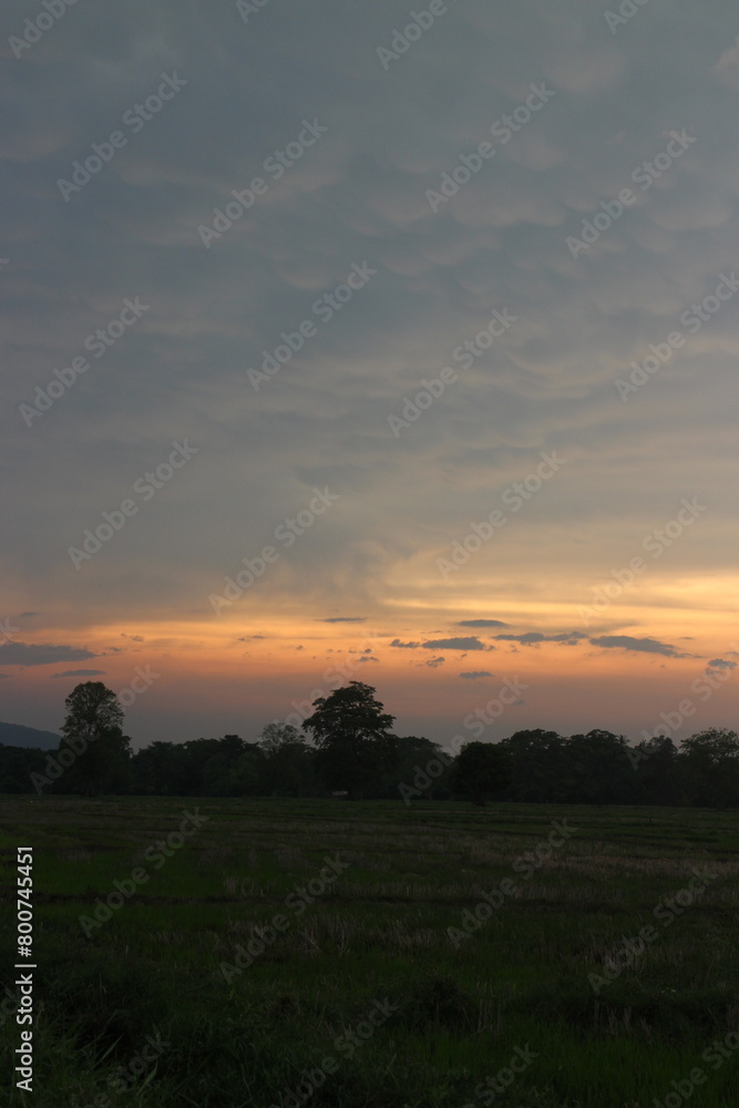 Real amazing panoramic sunrise or sunset sky with gentle colorful clouds. Real amazing panoramic sunrise or sunset sky with gentle colorful clouds.