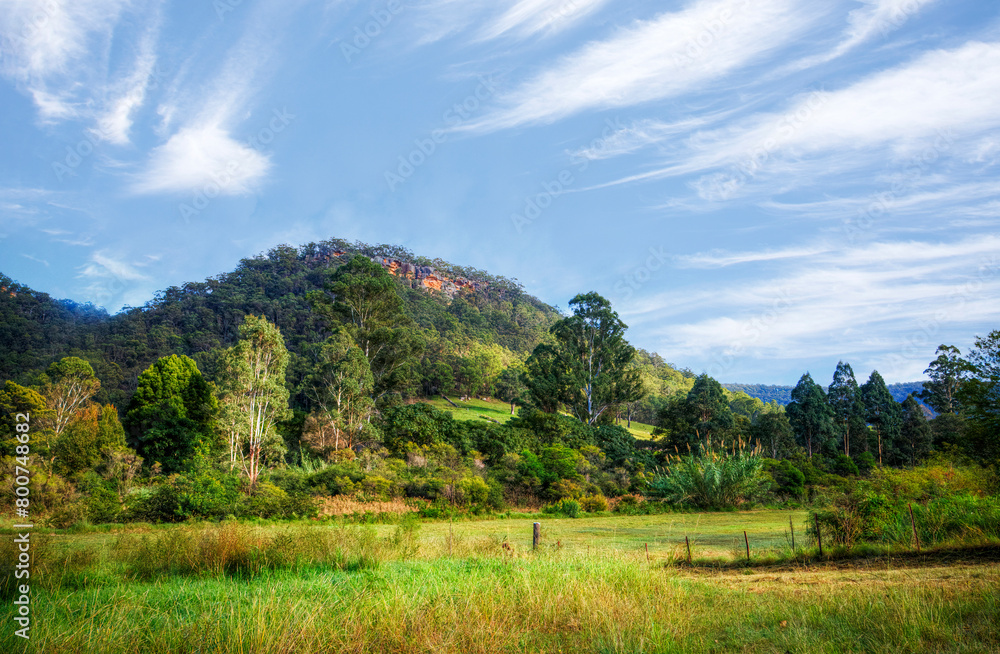 View of rolling hills in Upper Hunter Valley, NSW, Australia