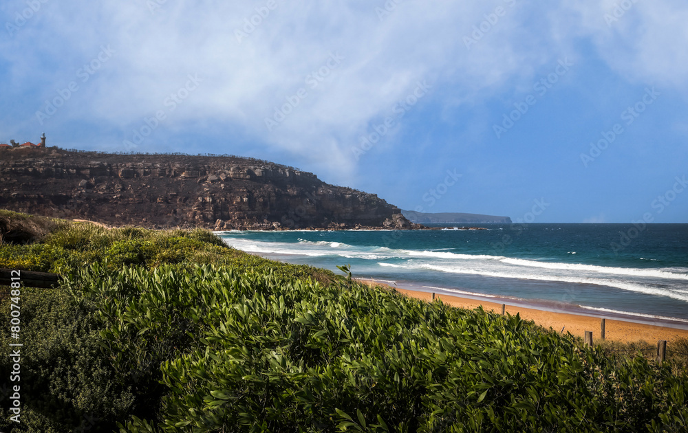 Australian seascape during the day with native trees in foreground in NSW