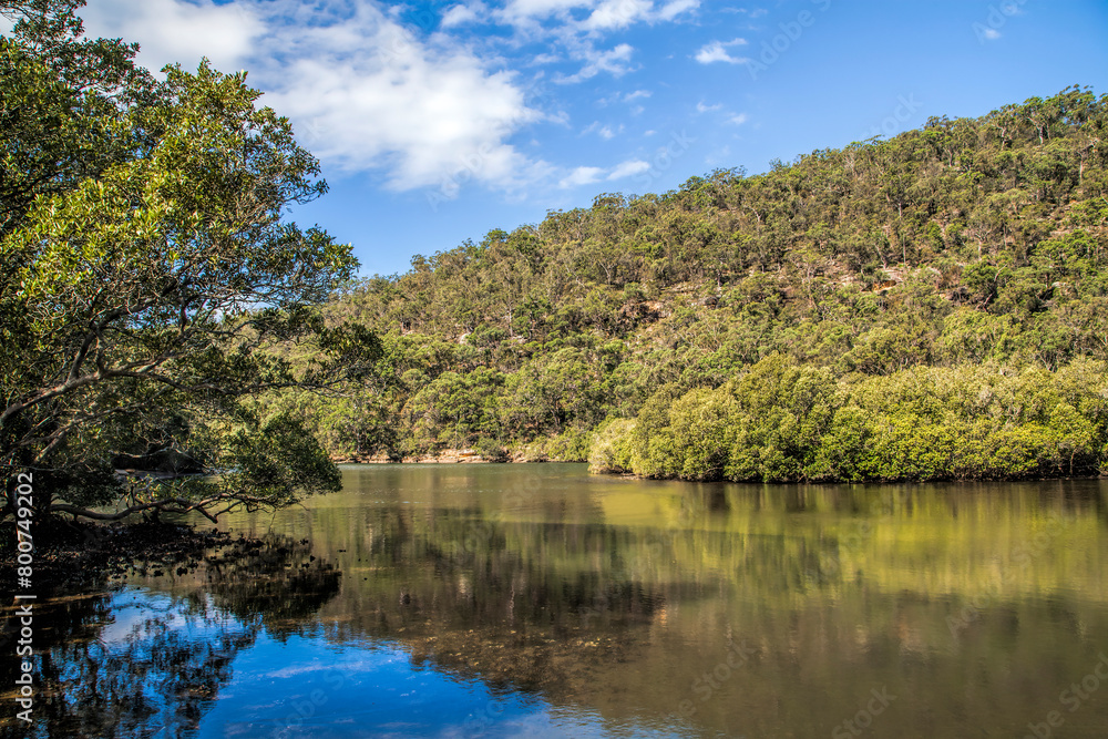 (Ku-ring-gai Chase National Park, NSW, Australia)