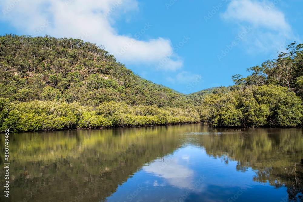 (Ku-ring-gai Chase National Park, NSW, Australia) (Ku-ring-gai Chase National Park, NSW, Australia)