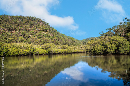 Obraz na płótnie (Ku-ring-gai Chase National Park, NSW, Australia) w salonie