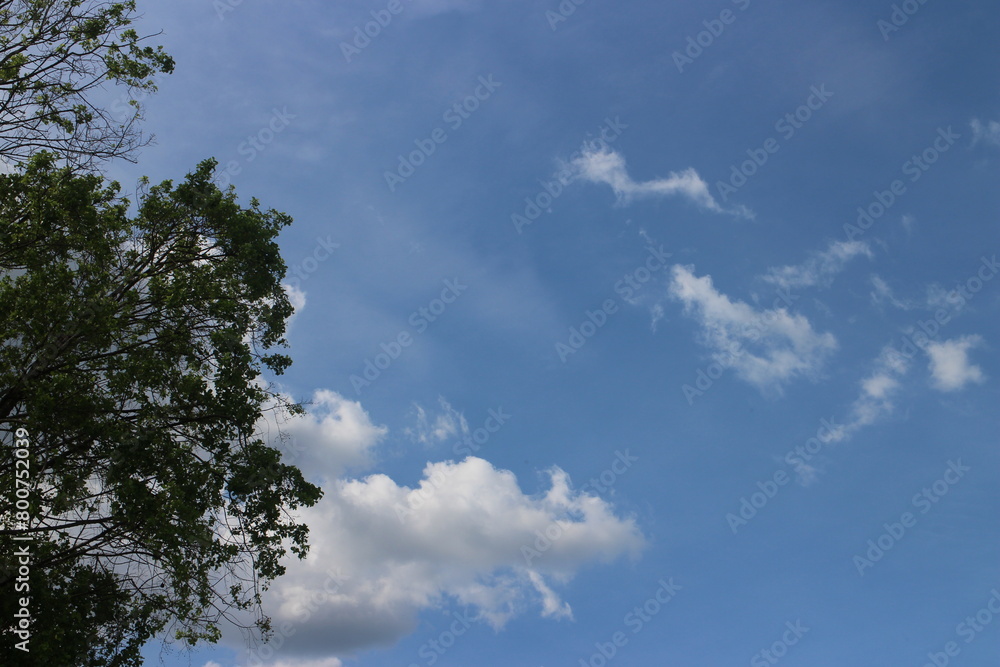 blue sky with clouds closeup blue sky with clouds closeup