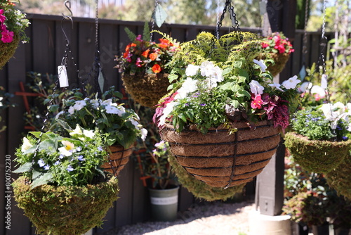 Photography hanging baskets with plants