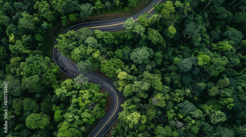 A winding road through a forest with trees on both sides © Sunshine