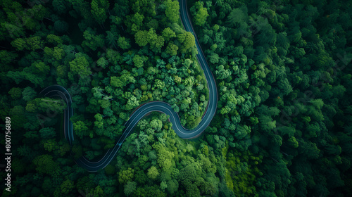 A winding road through a forest with trees on both sides