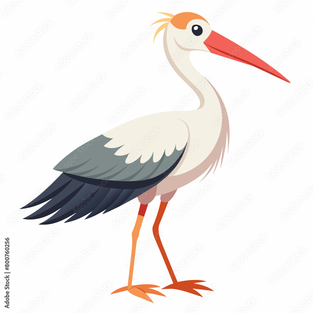 Fototapeta premium stork vector illustration with white background