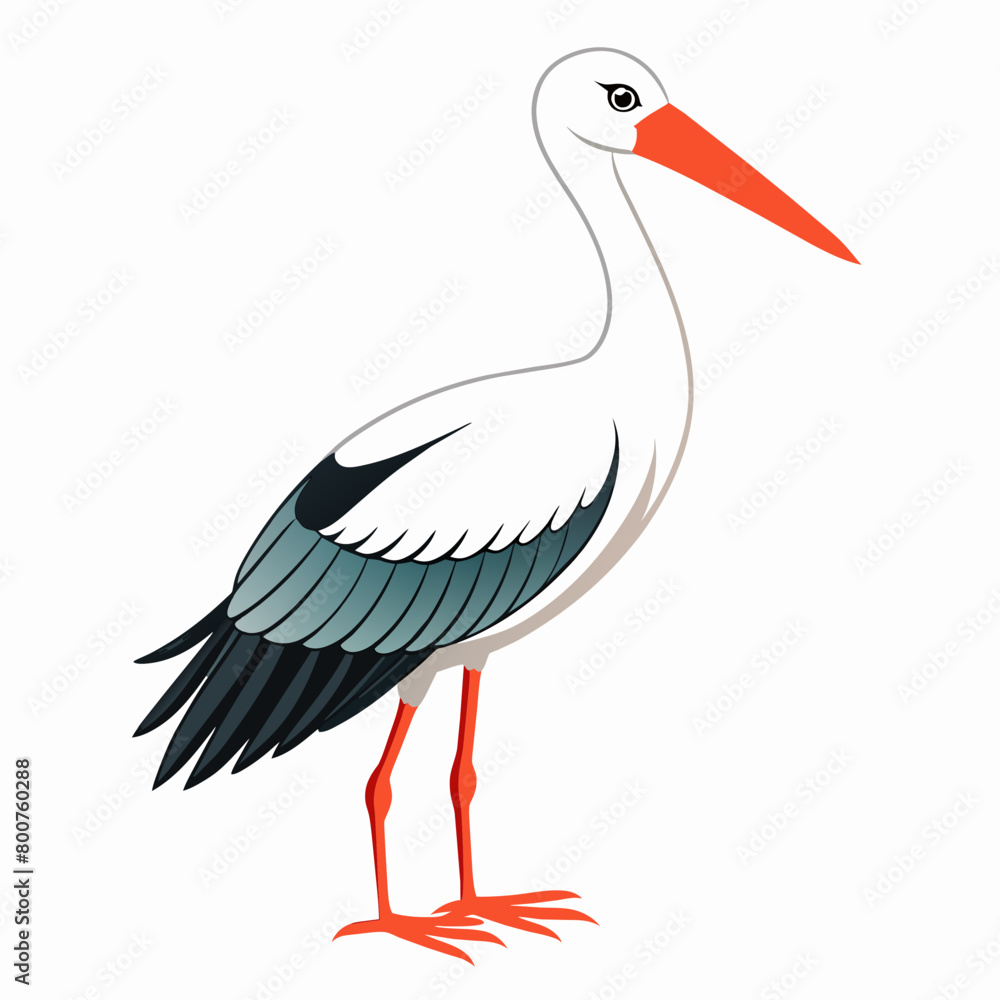 stork vector illustration with white background stork vector illustration with white background
