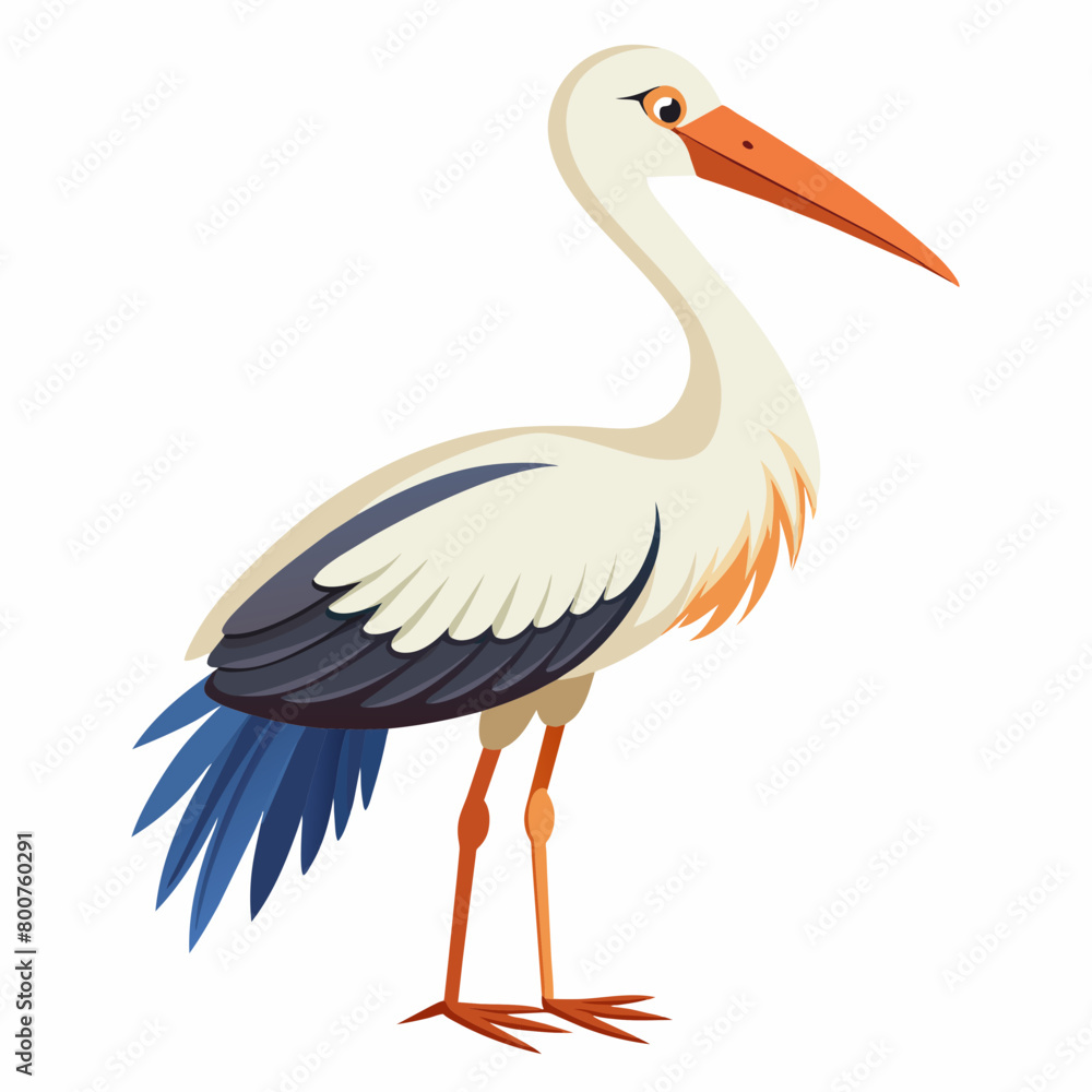 Fototapeta premium stork vector illustration with white background