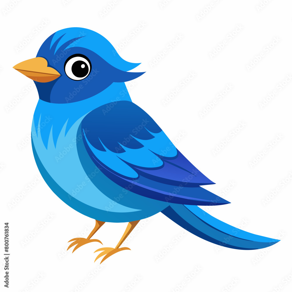 blue bird with speech bubbles, blue birds vector illustration with white background blue bird with speech bubbles, blue birds vector illustration with white background