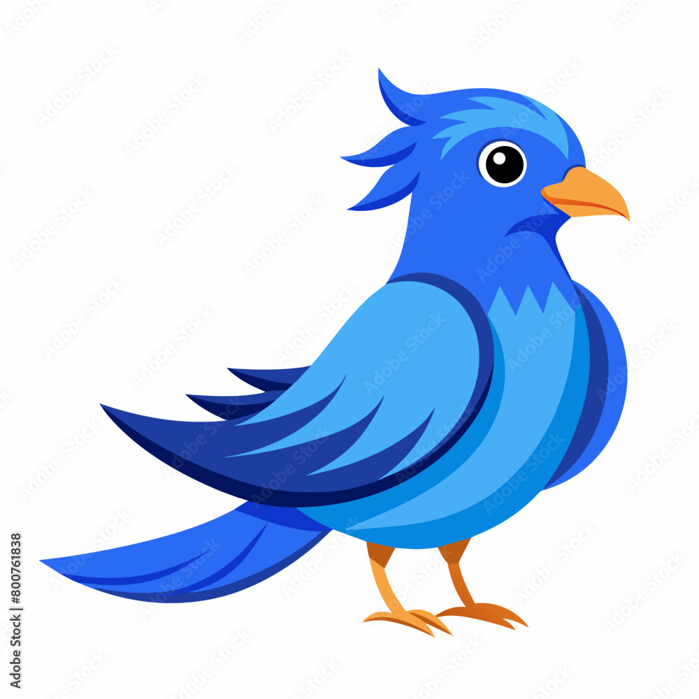 blue bird with speech bubbles, blue birds vector illustration with white background blue bird with speech bubbles, blue birds vector illustration with white background