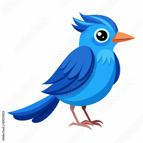 blue bird with speech bubbles, blue birds vector illustration with white background