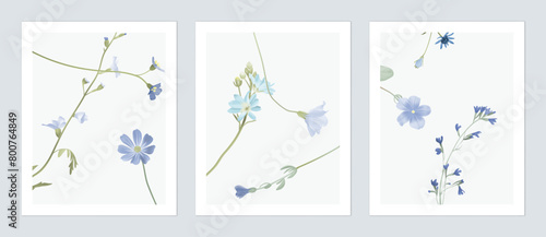 Floral wall art set, minimalist assorted blue wildflowers on grey background © momosama