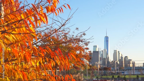 NEW YORK, NEW YORK USA – NOVEMBER 18: Lower Manhattan skyscraper stands beyond the autumn color leave from the Little Island Park in West Village on November 18, 2023 in New York City. photo