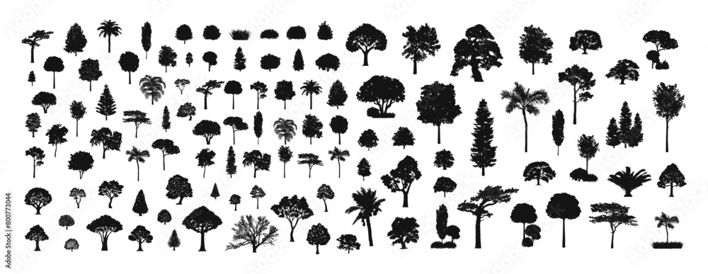 Big set of tree silhouette isolated on white background